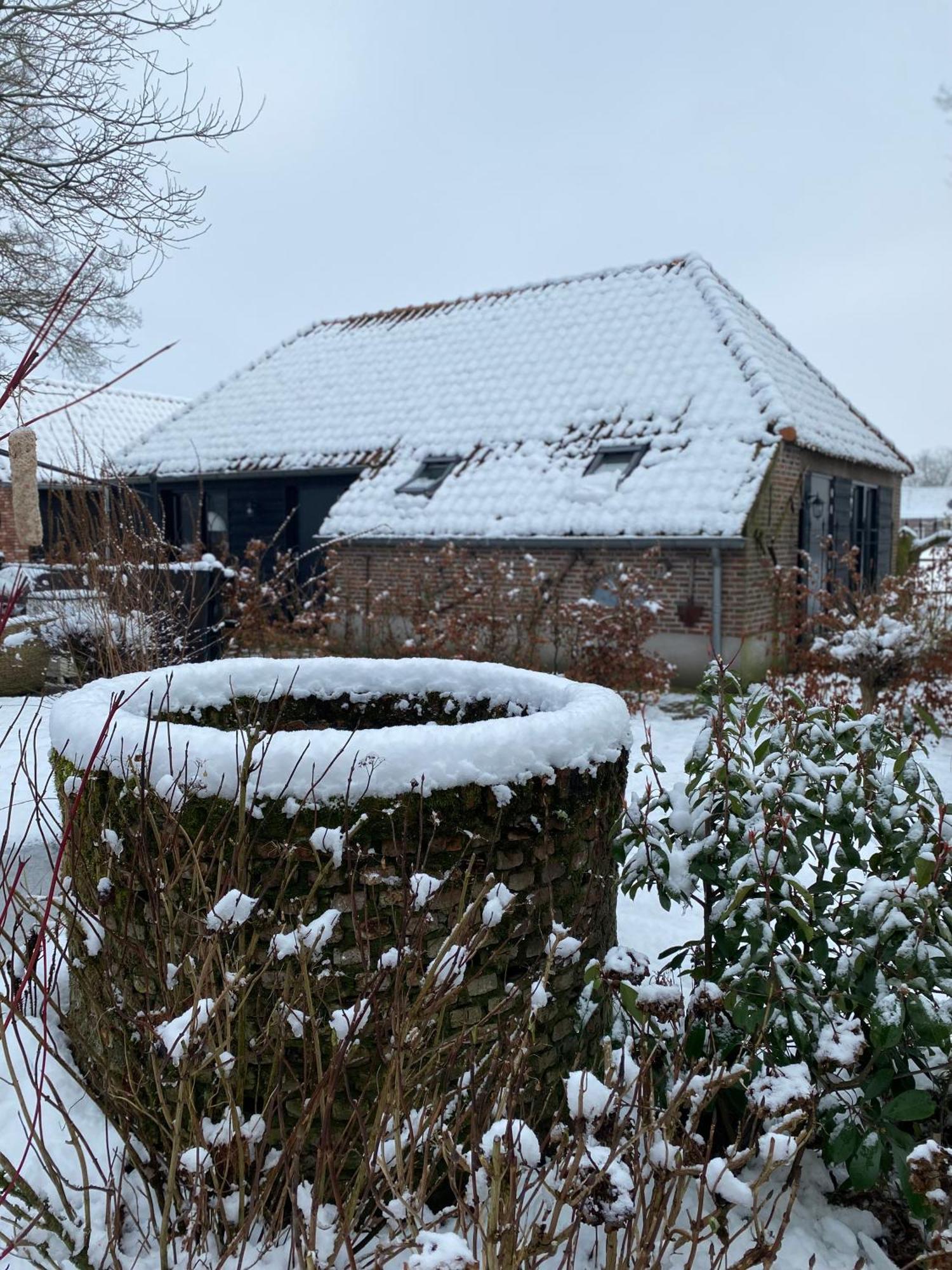 Domestico Bed & Breakfast Lage Mierde エクステリア 写真